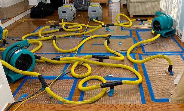 Professional Crawl Space Water Removal technician working in Brookville, OH